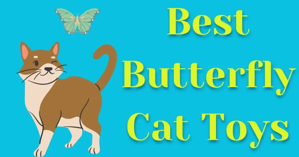 butterfly cat toys